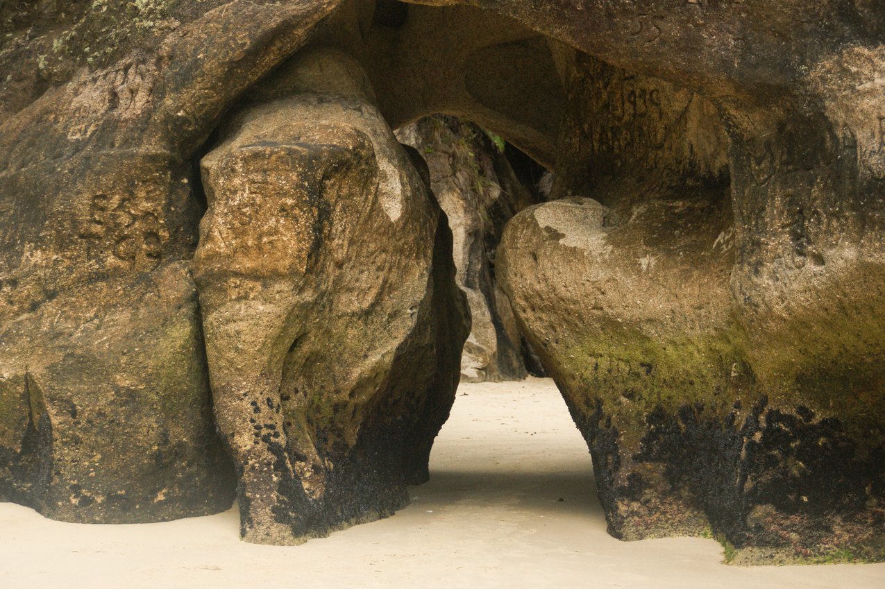 Foto Mitarbeiter GMF