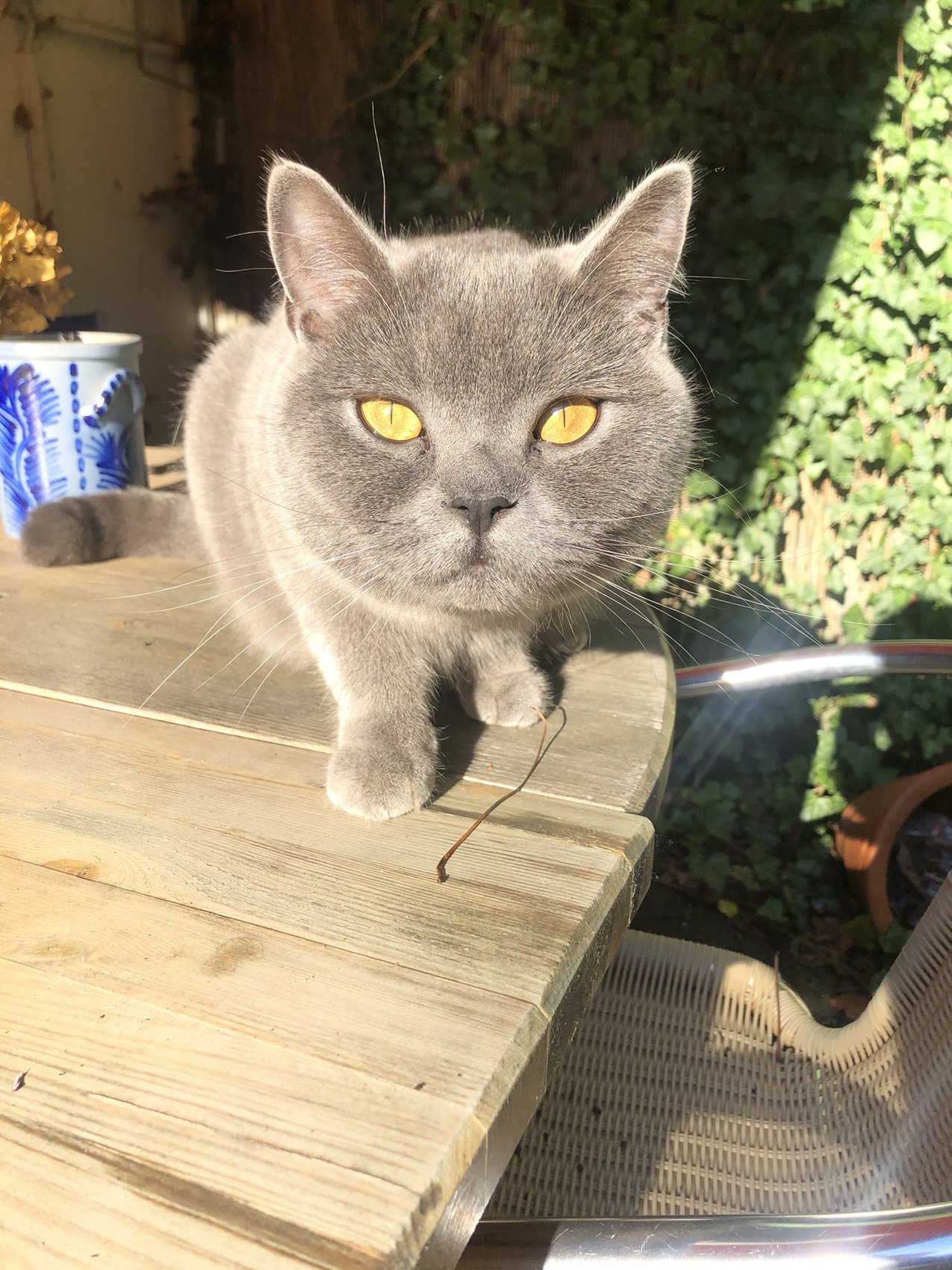 Foto Mitarbeiter GMF