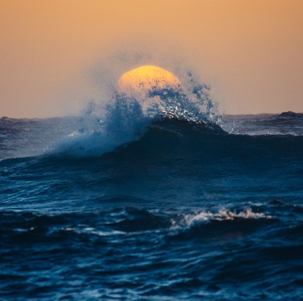 Foto Mitarbeiter GMF