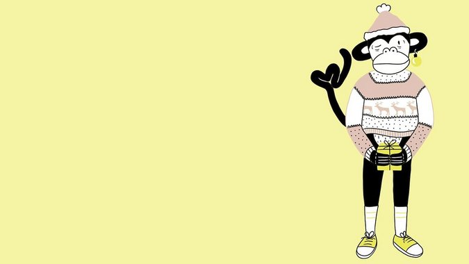 Äffchen im Weihnachtspullover