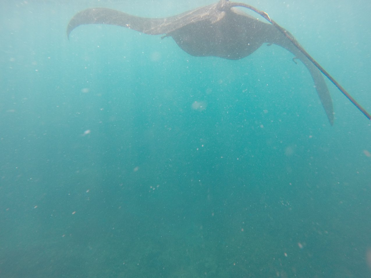 Foto Mitarbeiter GMF