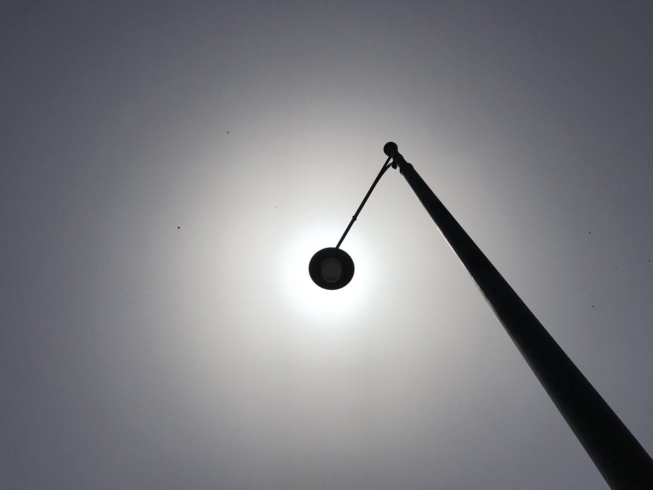 Foto Mitarbeiter GMF