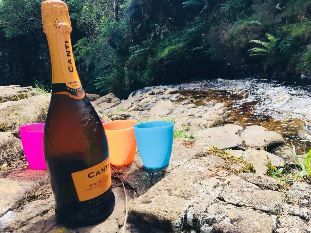 Foto Mitarbeiter GMF