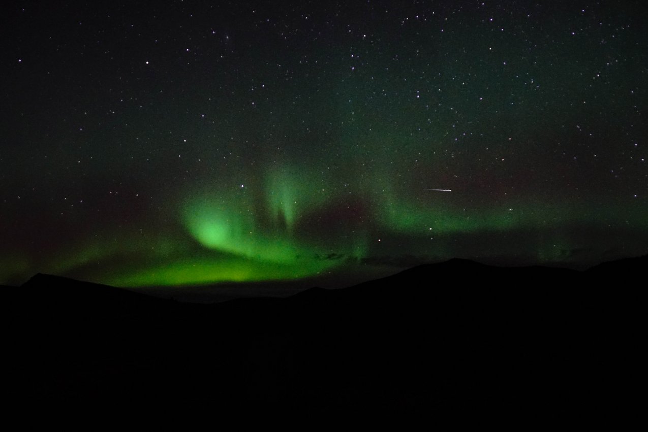 Foto Mitarbeiter GMF