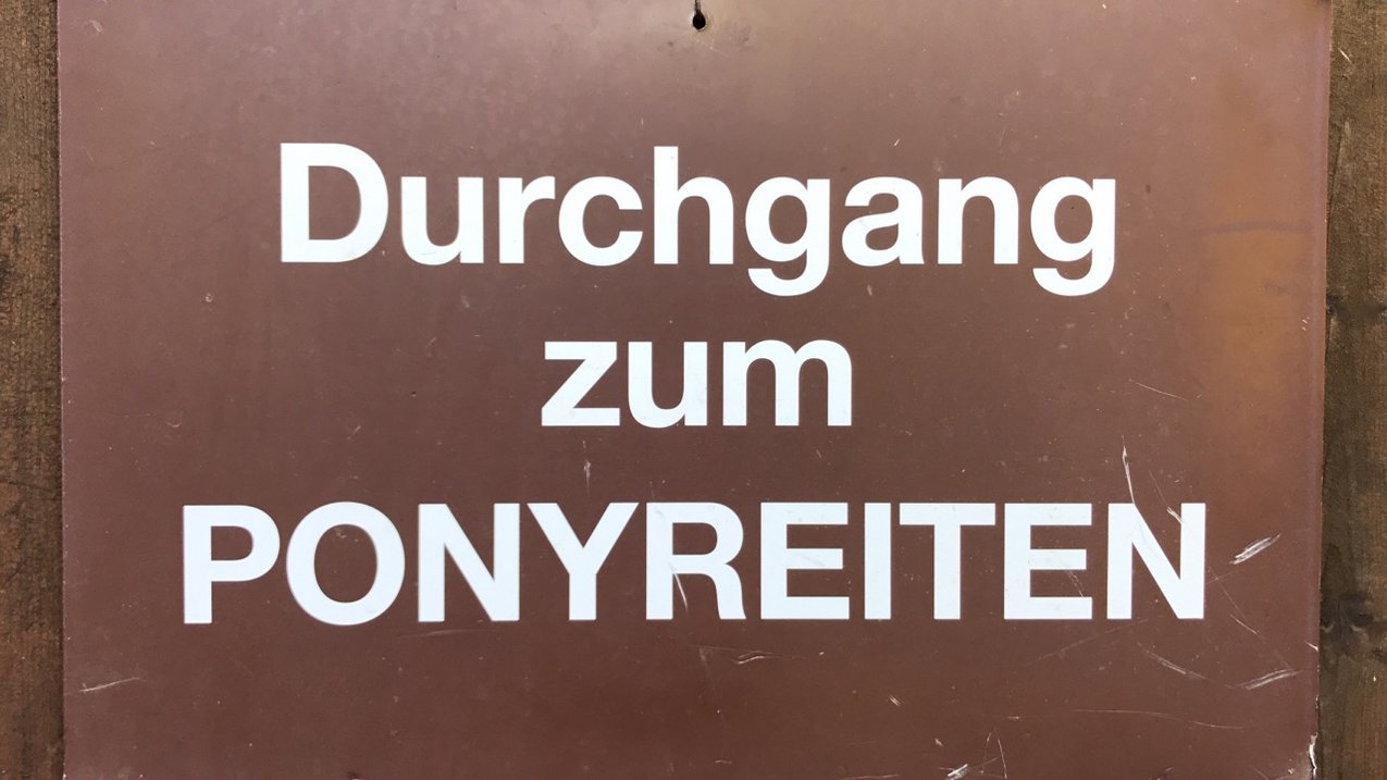 Foto Mitarbeiter GMF