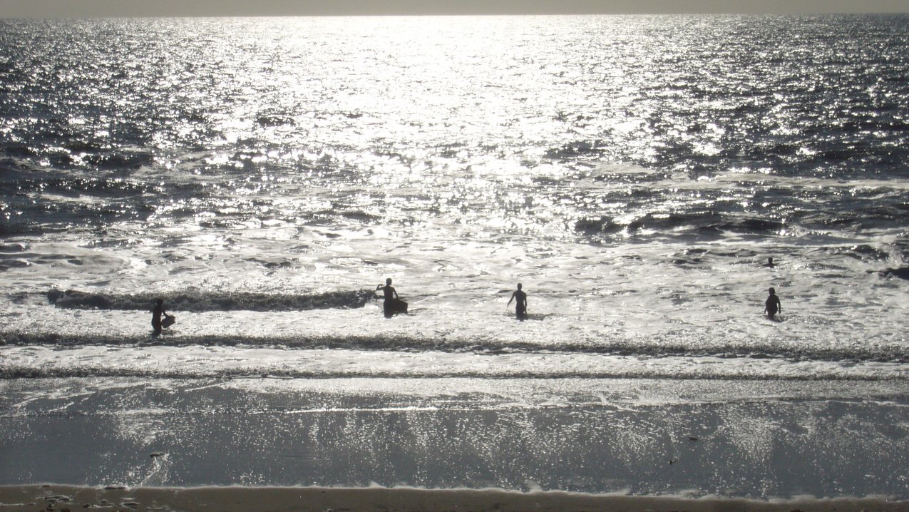 Foto Mitarbeiter GMF