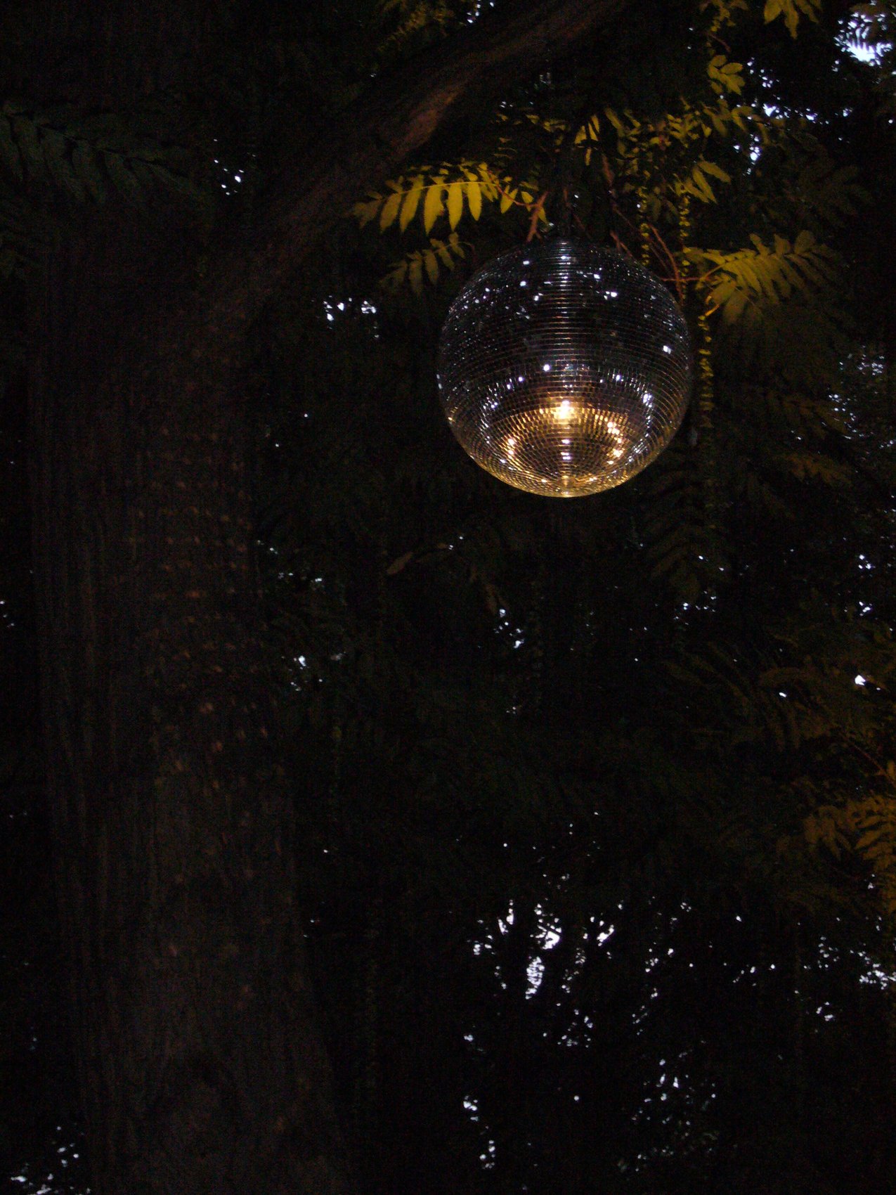 Foto Mitarbeiter GMF