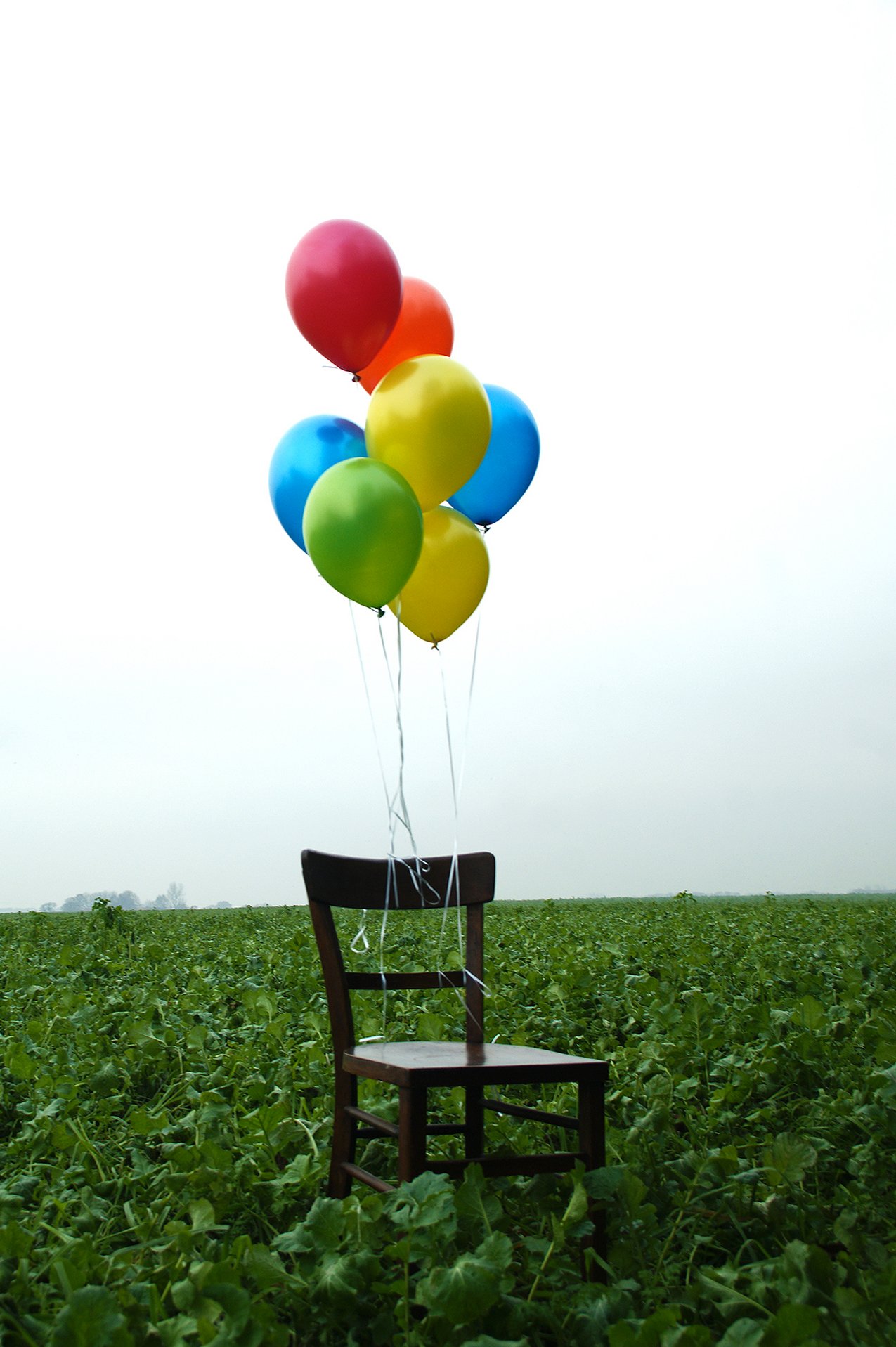 Foto Mitarbeiter GMF