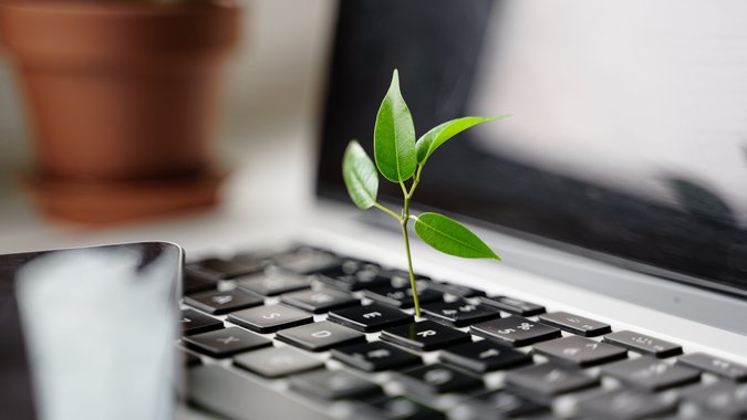 Pflanze sprießt aus Laptop heraus