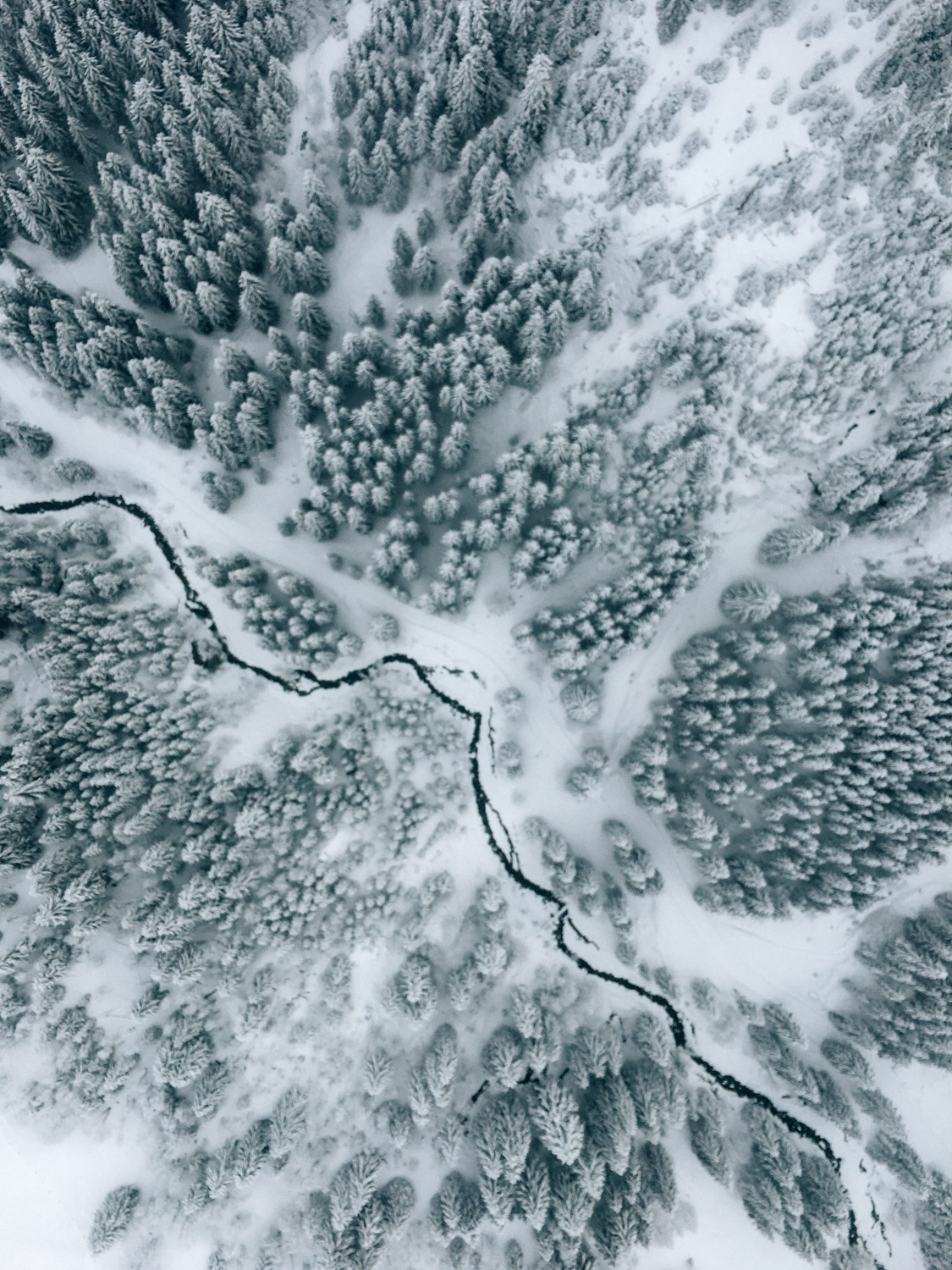 Foto Mitarbeiter GMF